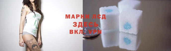 прущая мука Дмитров