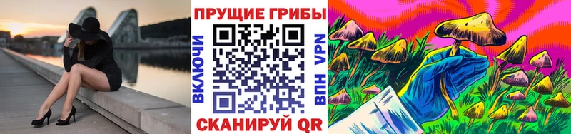 Псилоцибиновые грибы MAGIC MUSHROOMS  Купить закладки  Цоци-Юрт 